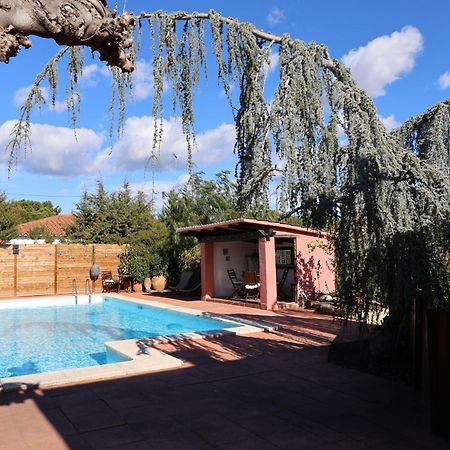El Cedre Blau Vivienda Con Piscina En Granollers 빌라 외부 사진